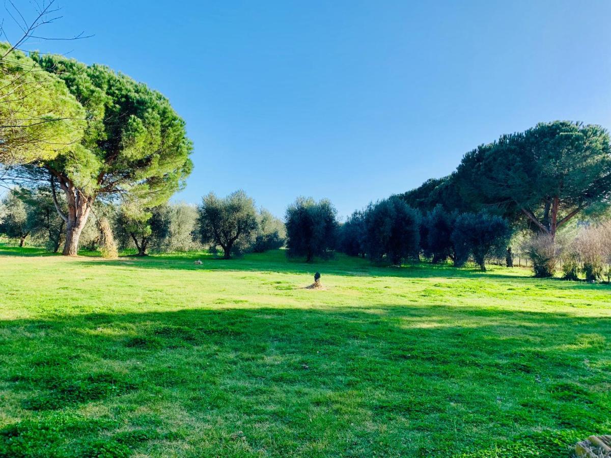 Appartement Il Borghetto Di Ansedónia Extérieur photo
