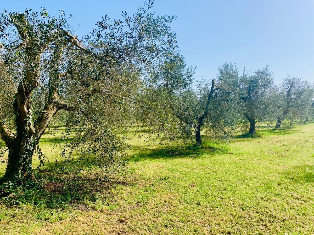 Appartement Il Borghetto Di Ansedónia Extérieur photo