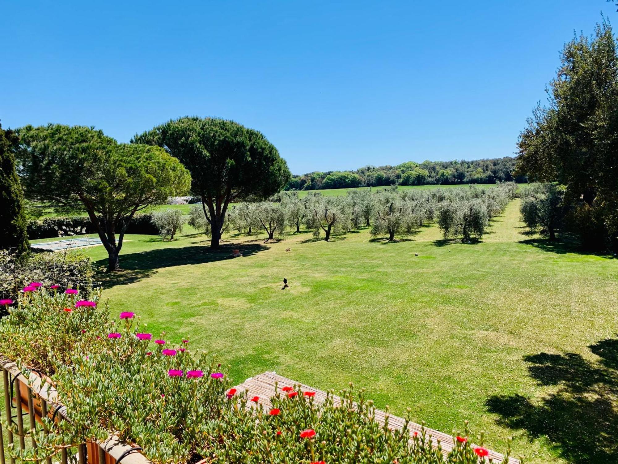 Appartement Il Borghetto Di Ansedónia Extérieur photo