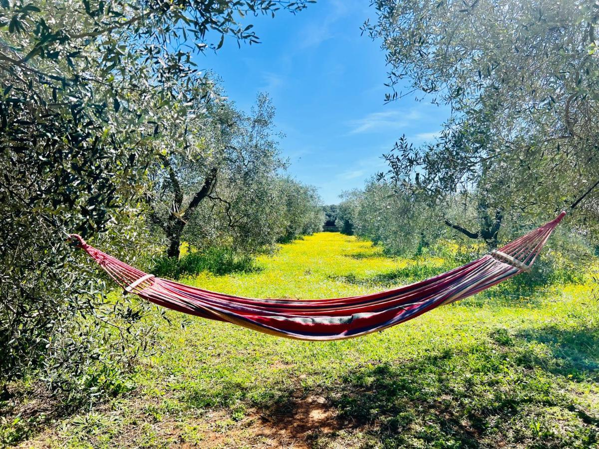 Appartement Il Borghetto Di Ansedónia Extérieur photo